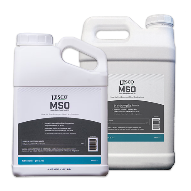 MSO