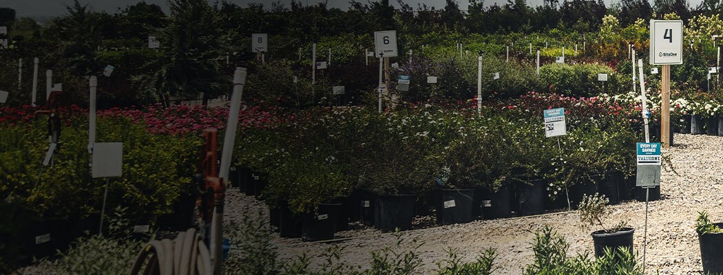 THE PLACE FOR<br>NURSERY PROS