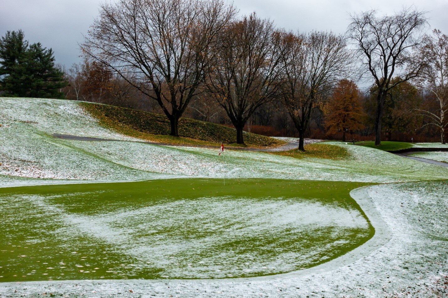 How Fertilizer Feeds Turf