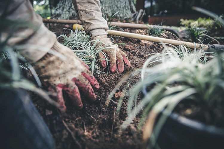 Benefits of Organic Fertilizer and Control Products