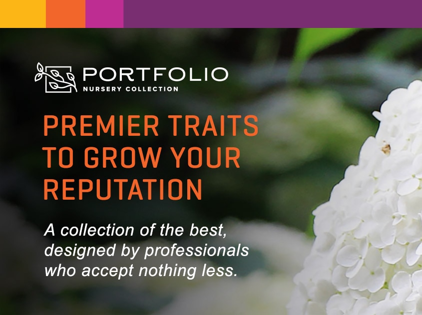 Premier Traits to Grow Your Reputation