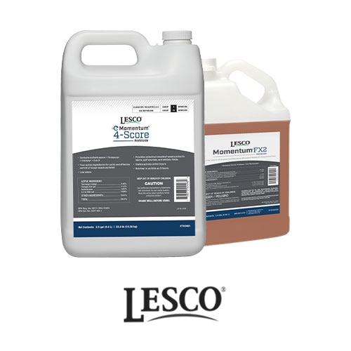 lesco momentum