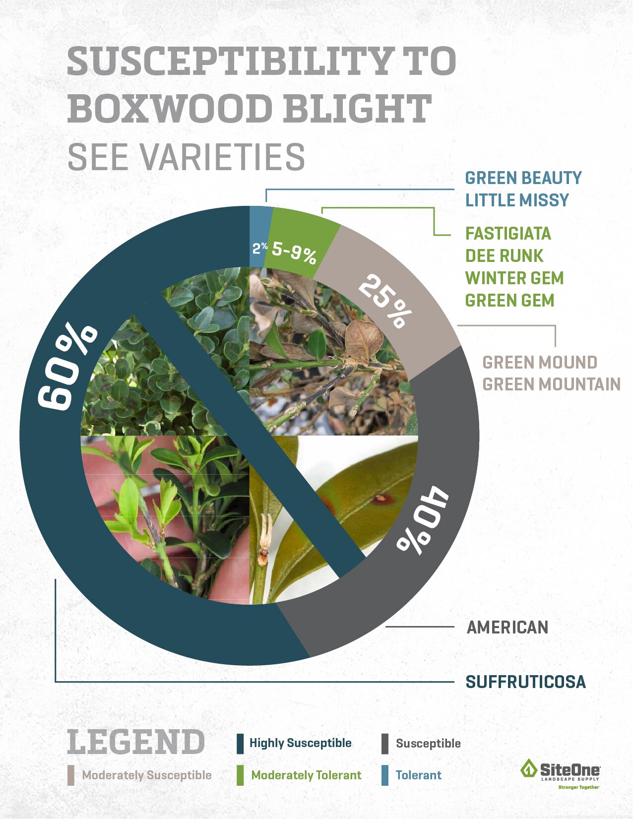 How Fertilizer Feeds Turf