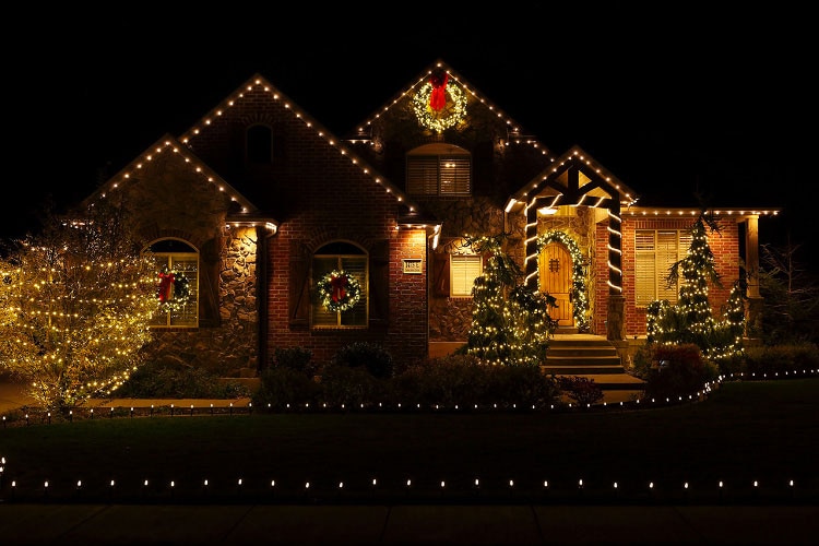 Tips for Keeping Holiday Greenery Alive - SiteOne