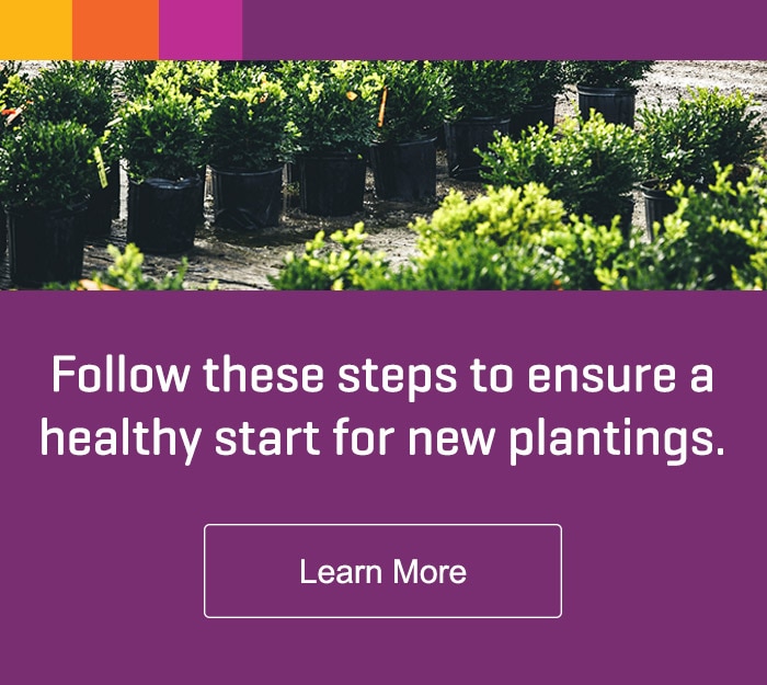 Download our Planting Guide