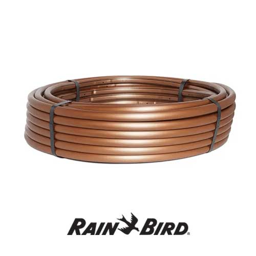 rainbird xf