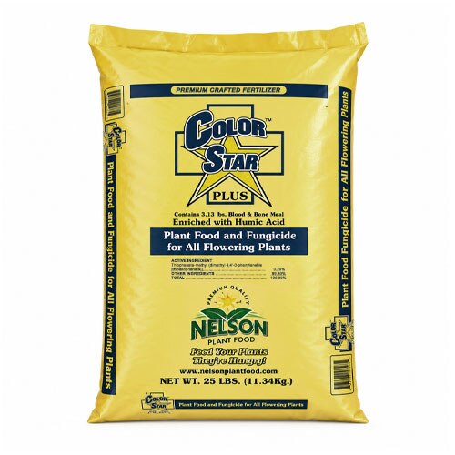 ColorStar Plus 19-13-6