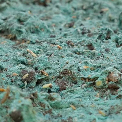 hydroseeding