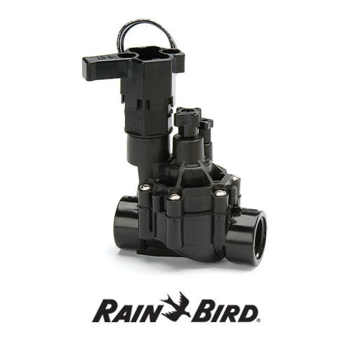 rainbird dvf