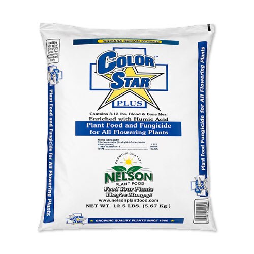ColorStar Plus 19-13-6