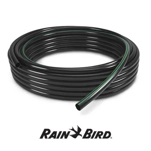 rainbird xbs