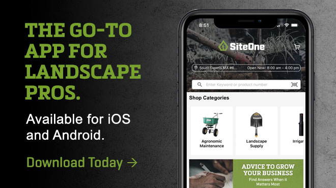 Download the mobile app