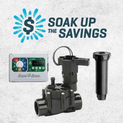 soak up the savings