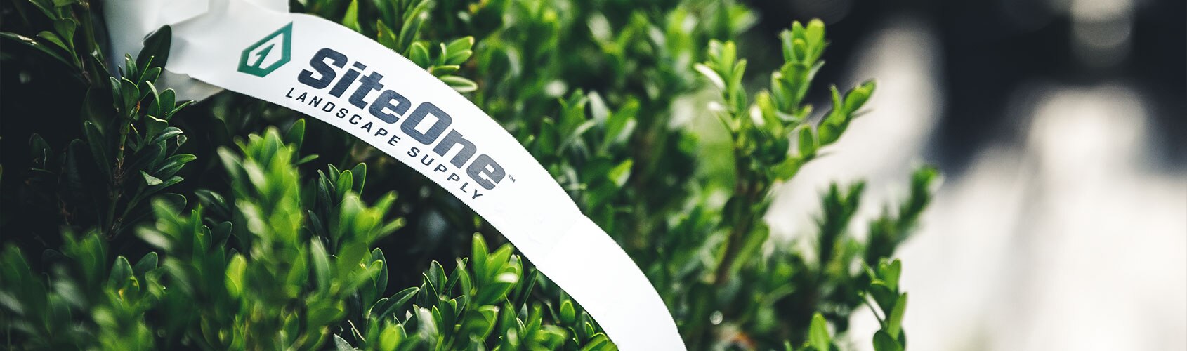Sustainability-Hero-1690x500.jpg