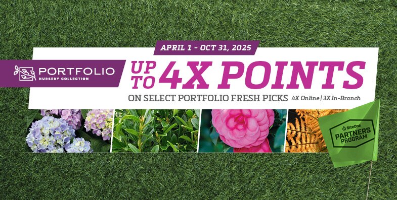 4x Points