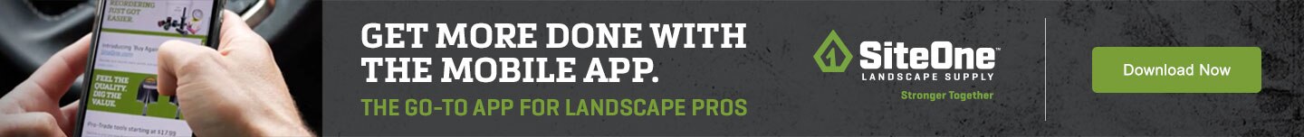 Download the mobile app